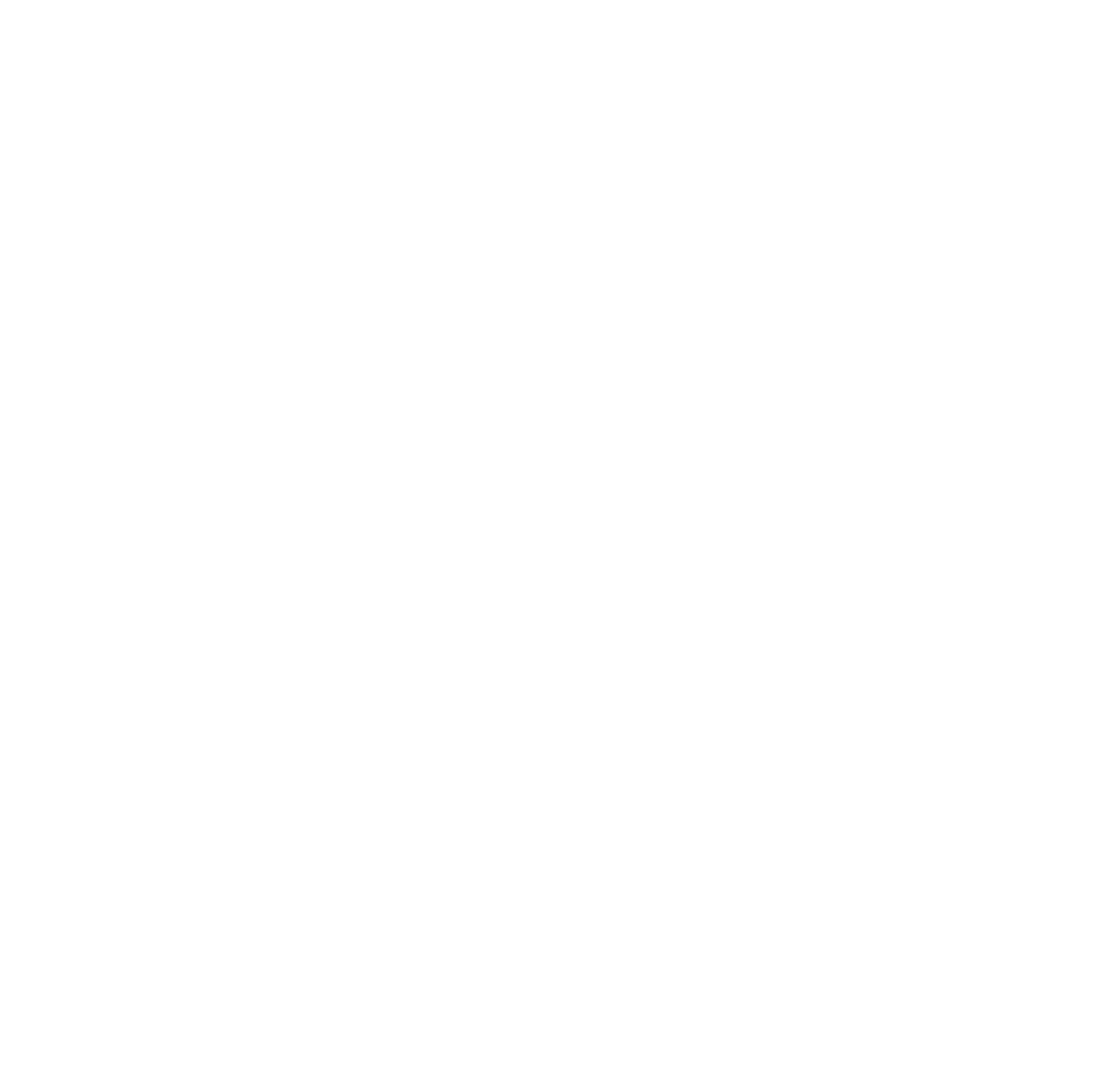 Washington Spirit PNG
