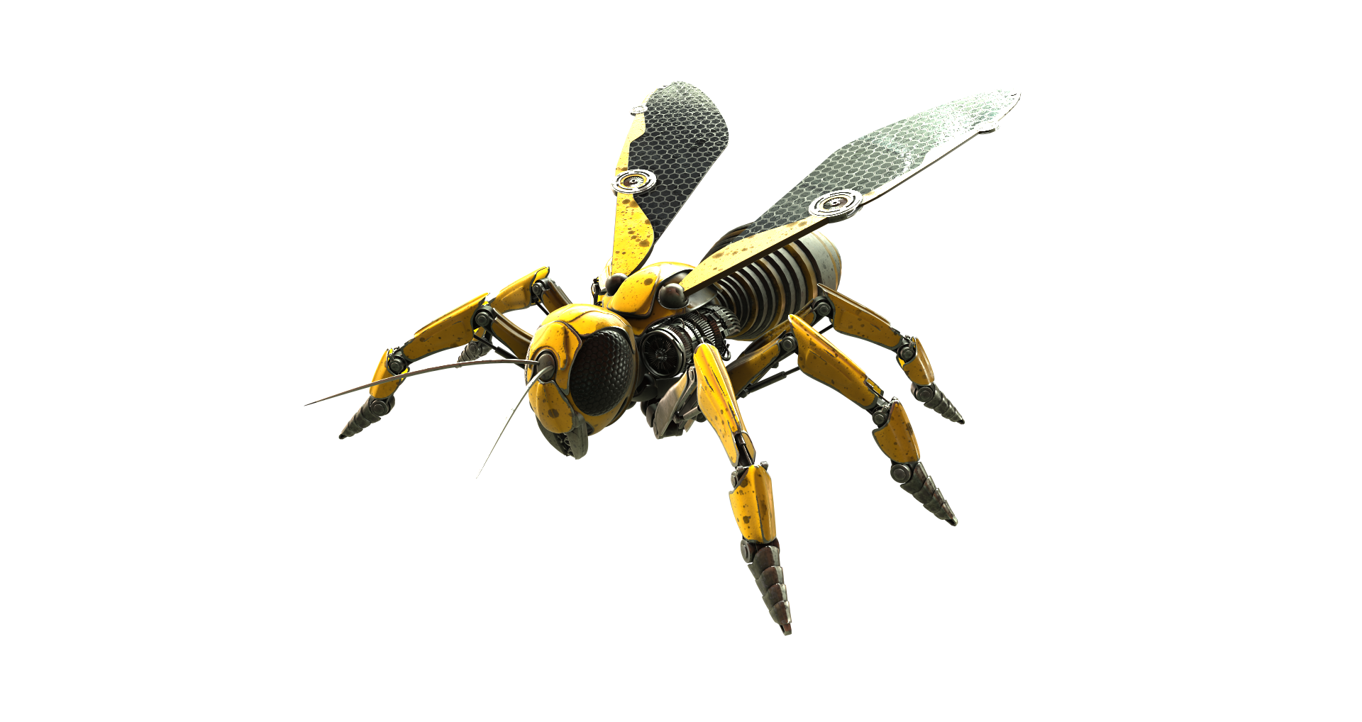 Wasp Insect PNG File