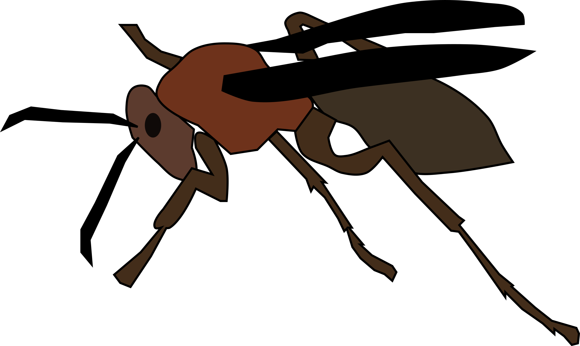 Wasp Insect PNG Isolated Transparent Picture