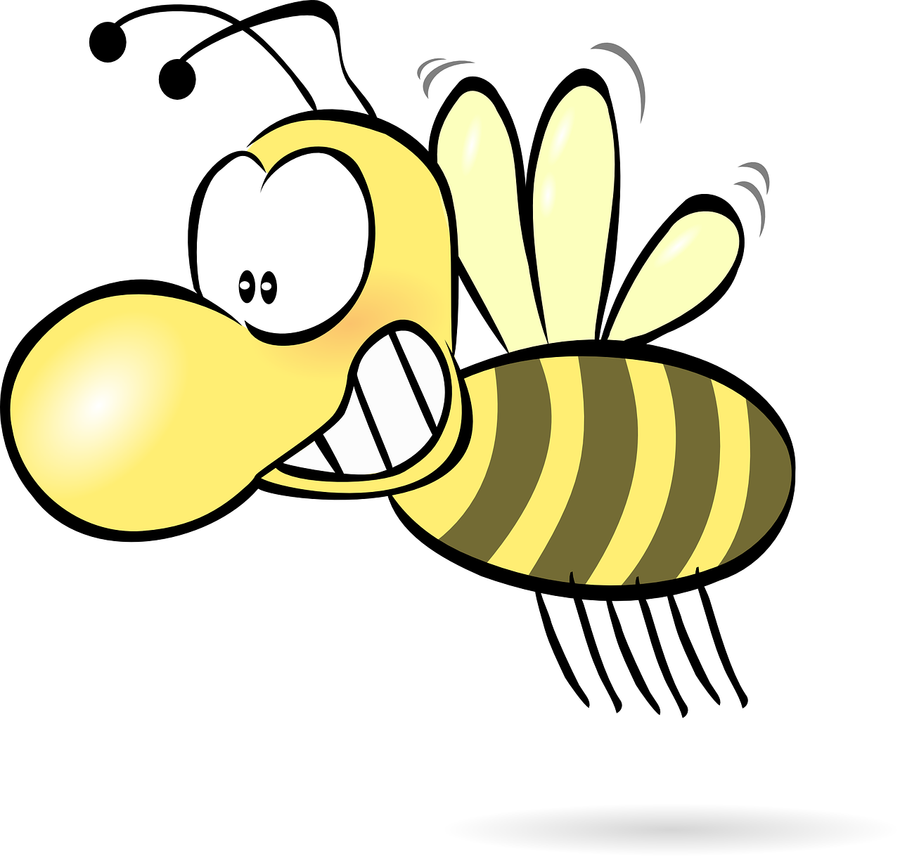 Wasp Insect Transparent Isolated PNG