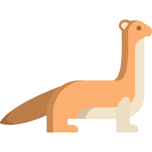 Weasels PNG Picture