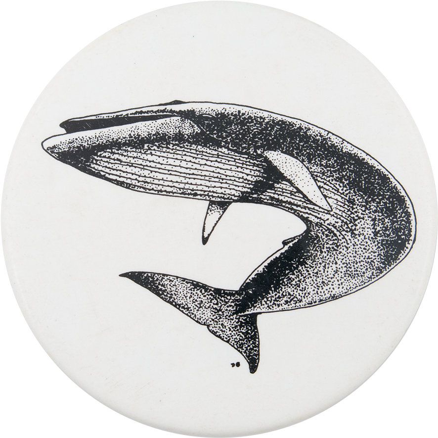 Whale Download PNG Isolated Image