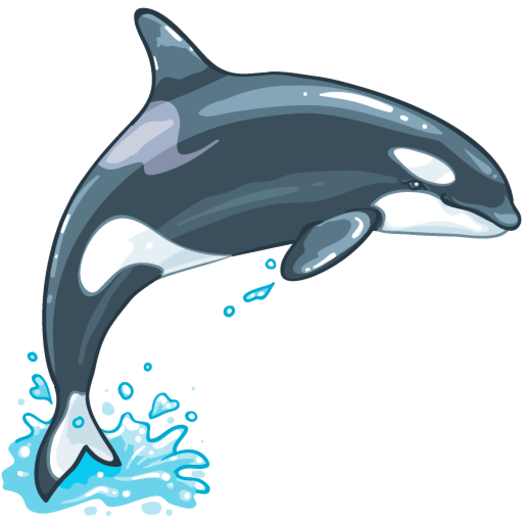 Whale PNG Isolated Clipart