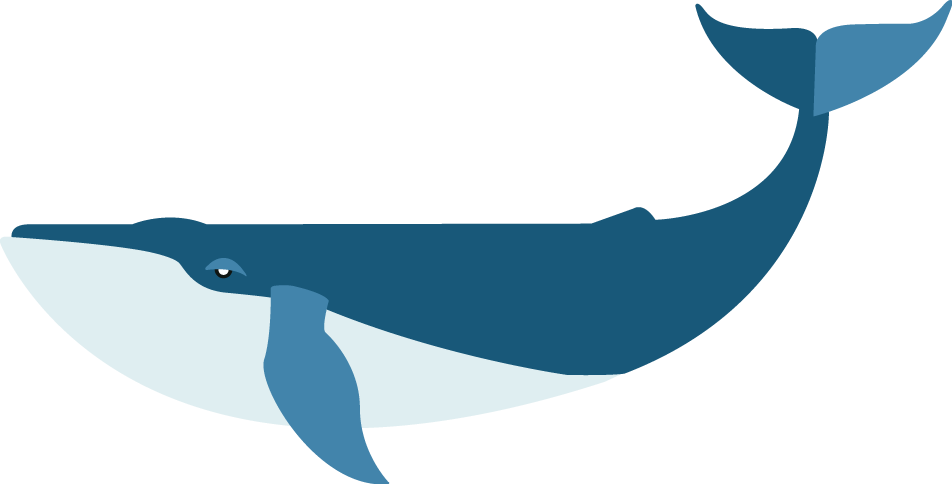 Whale PNG Isolated Image
