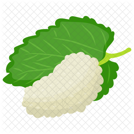 White Mulberry PNG HD