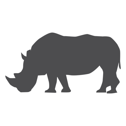 White Rhinoceros PNG HD Isolated