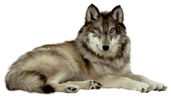 Wolf Download PNG Image