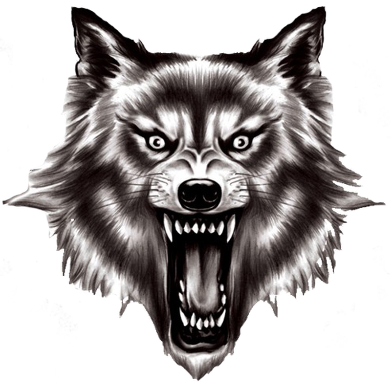 Wolf PNG File