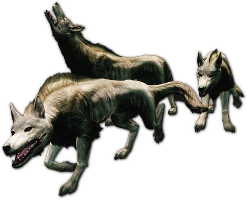 Wolve PNG HD