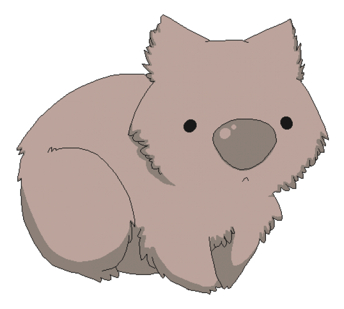 Wombats PNG Clipart