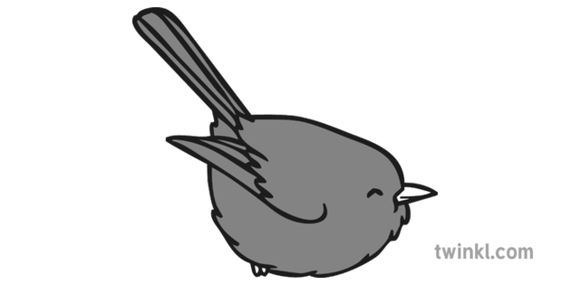 Wrens PNG Clipart