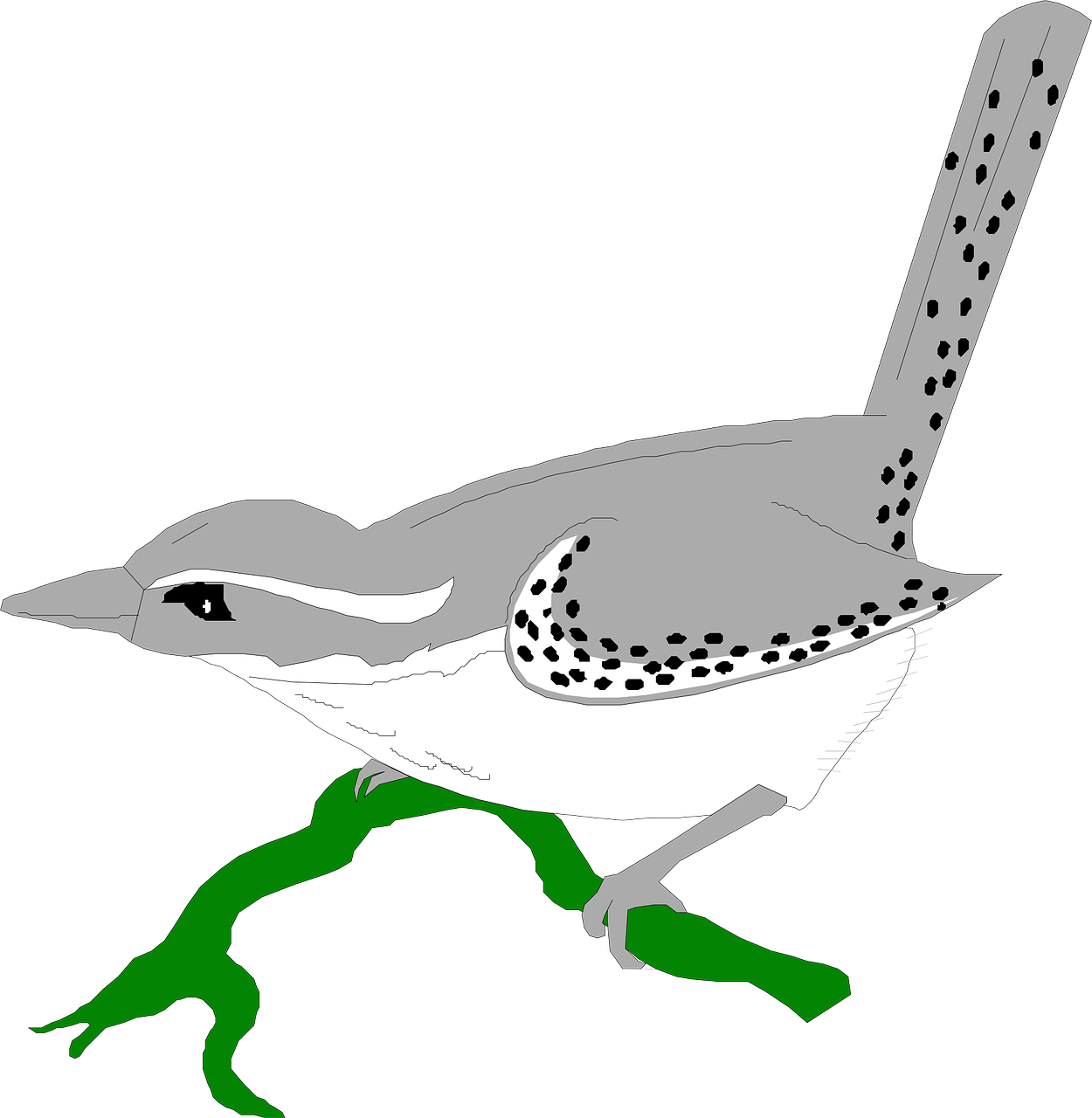 Wrens PNG Picture