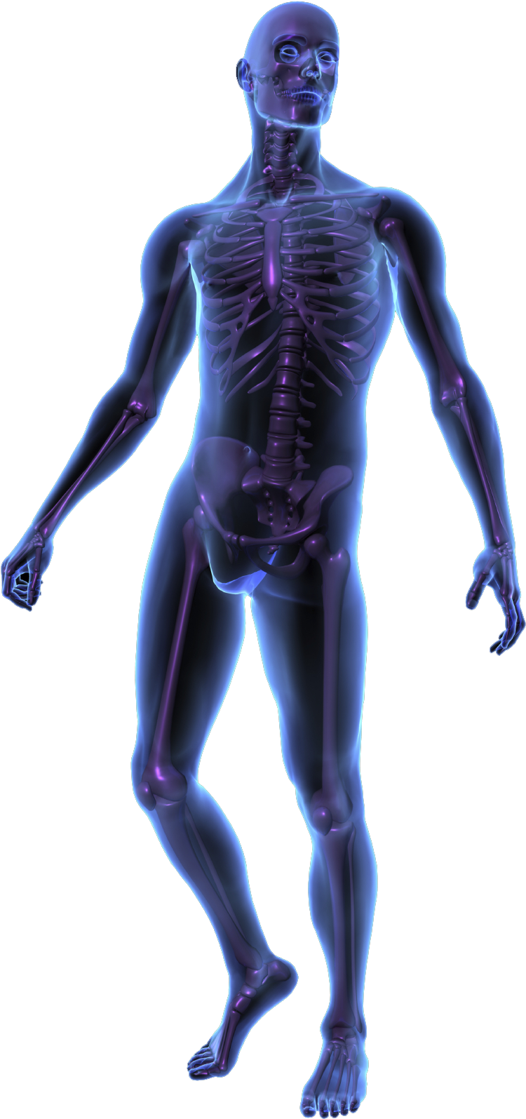 X-Ray PNG HD