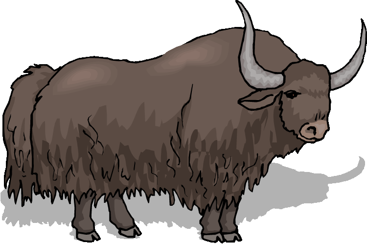 Yak PNG Isolated File
