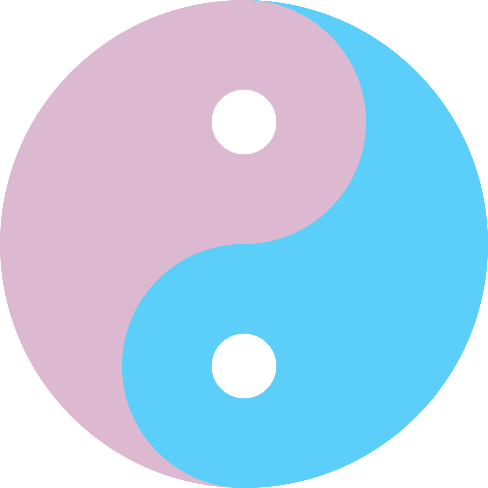 Yin and Yang PNG Isolated HD Pictures