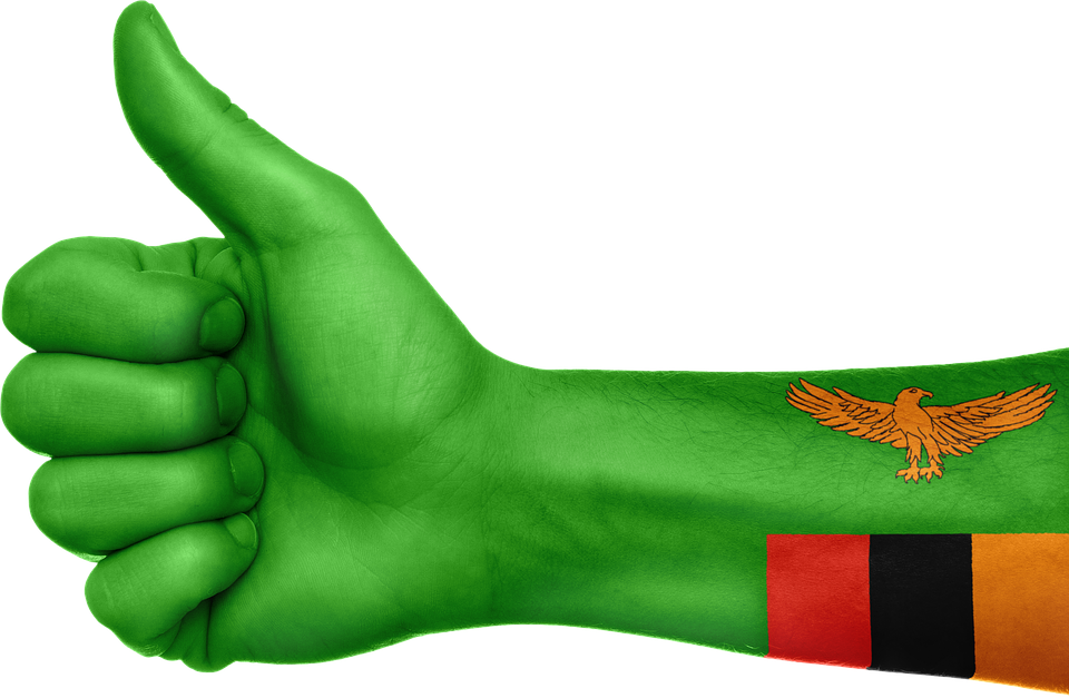 Zambia Flag PNG File
