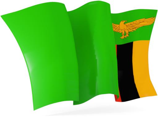 Zambia Flag PNG Isolated Pic