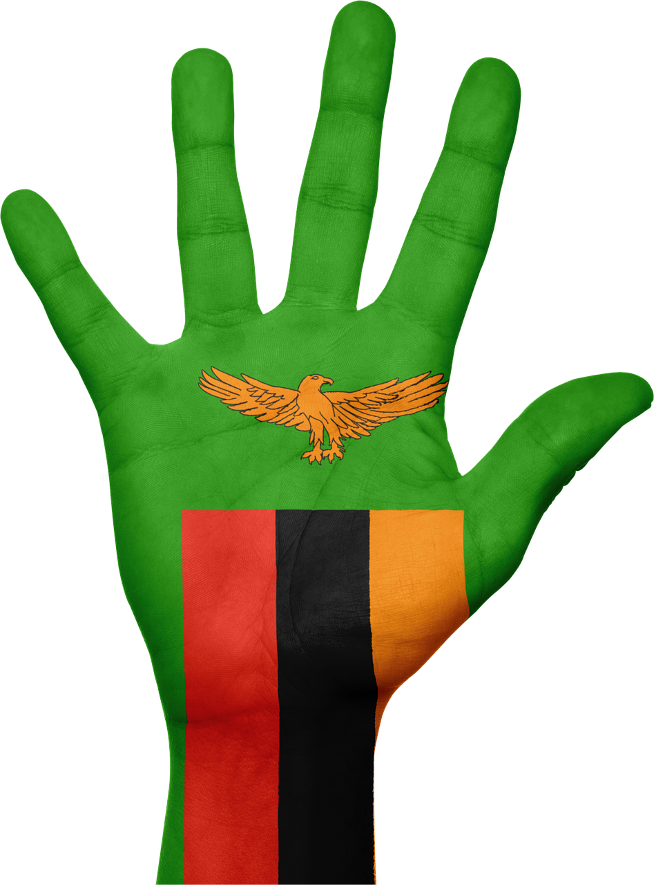 Zambia Flag PNG Photo