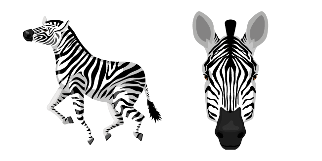 Zebras PNG Photos