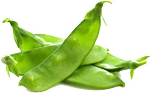 broad bean PNG Isolated Image
