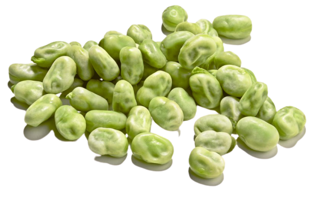 broad bean PNG Isolated Photo