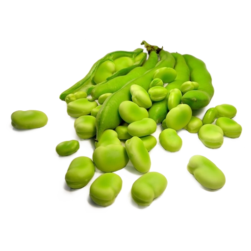 broad bean PNG Photo