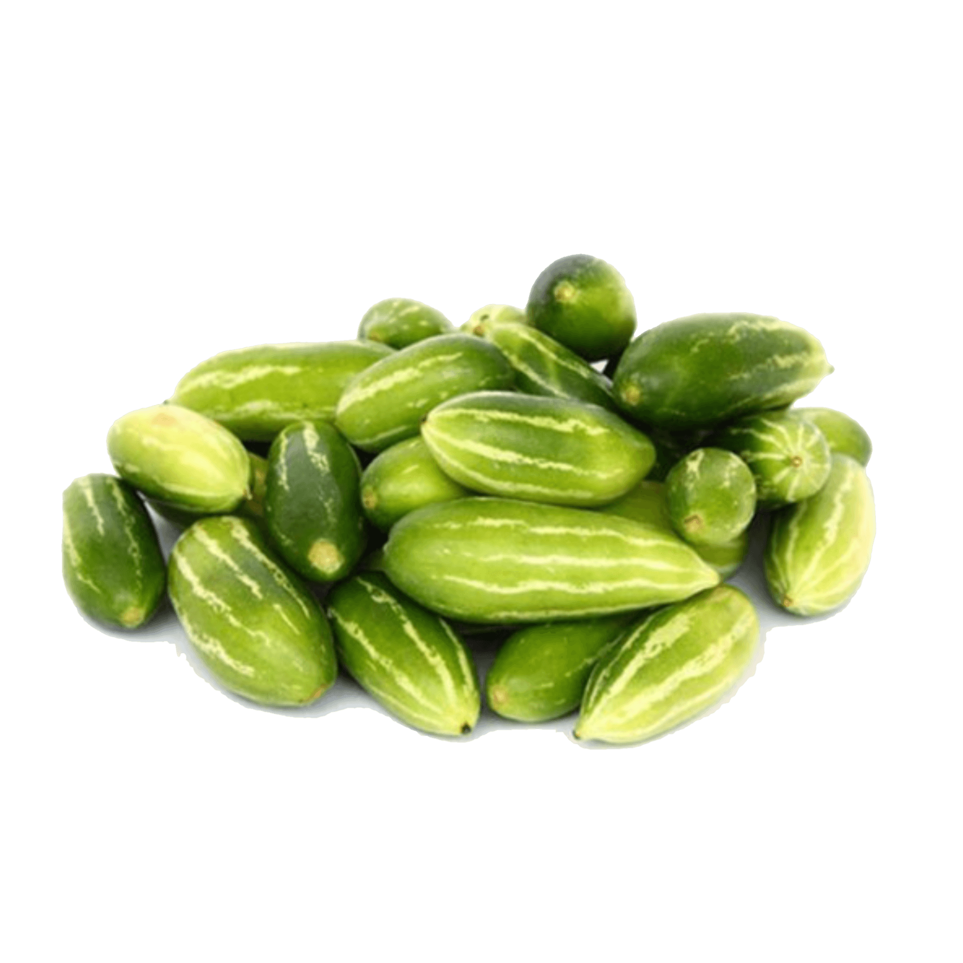 ivy gourd PNG HD Isolated