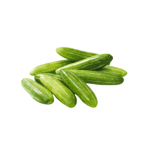 ivy gourd PNG Isolated HD