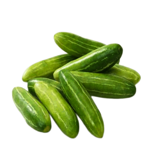 ivy gourd PNG Pic
