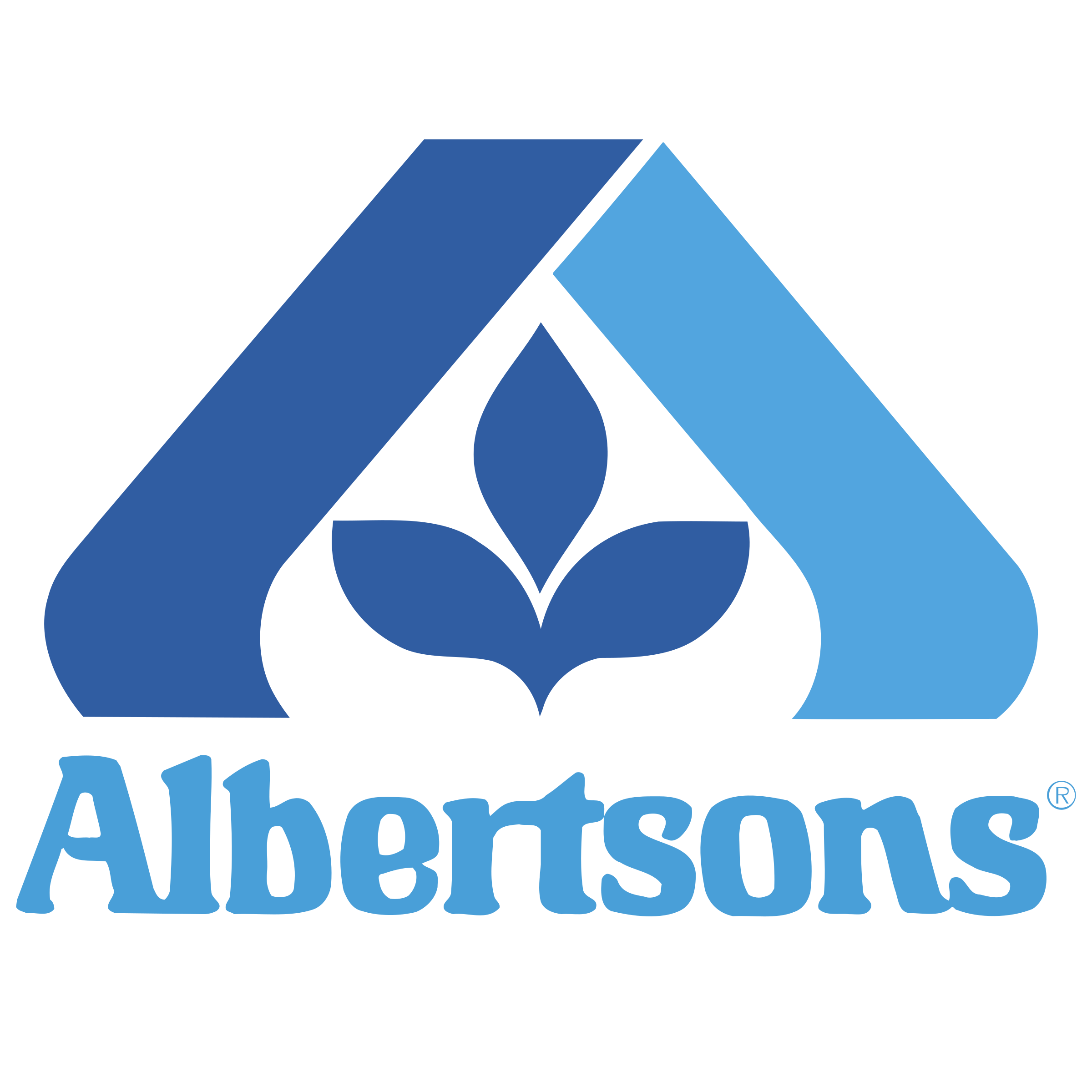 Albertsons Logo PNG