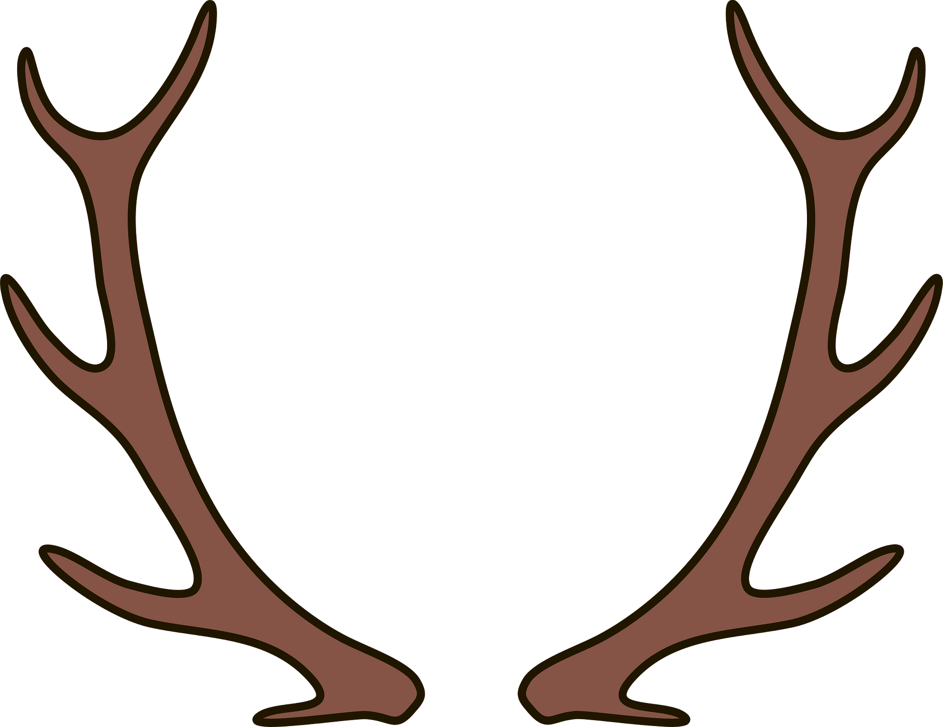 Antler PNG Isolated File