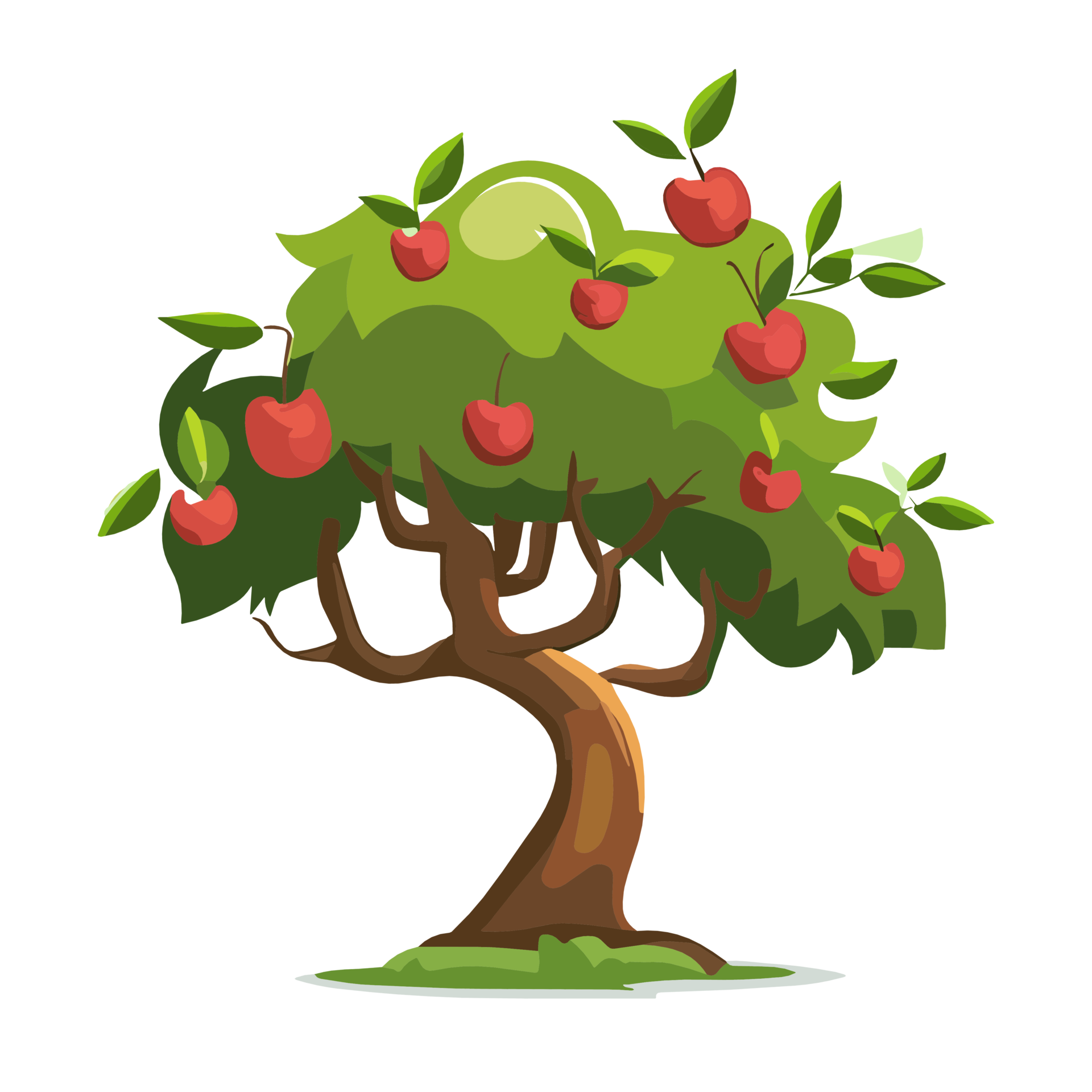 Apple Tree PNG Clipart