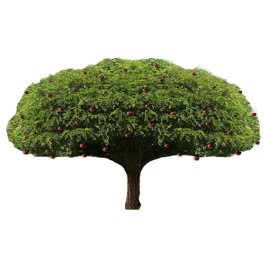 Apple Tree PNG HD Isolated