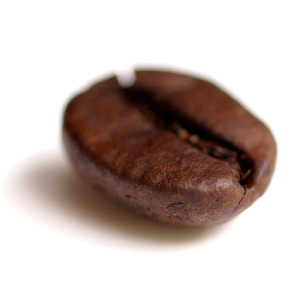 Bean PNG Isolated HD