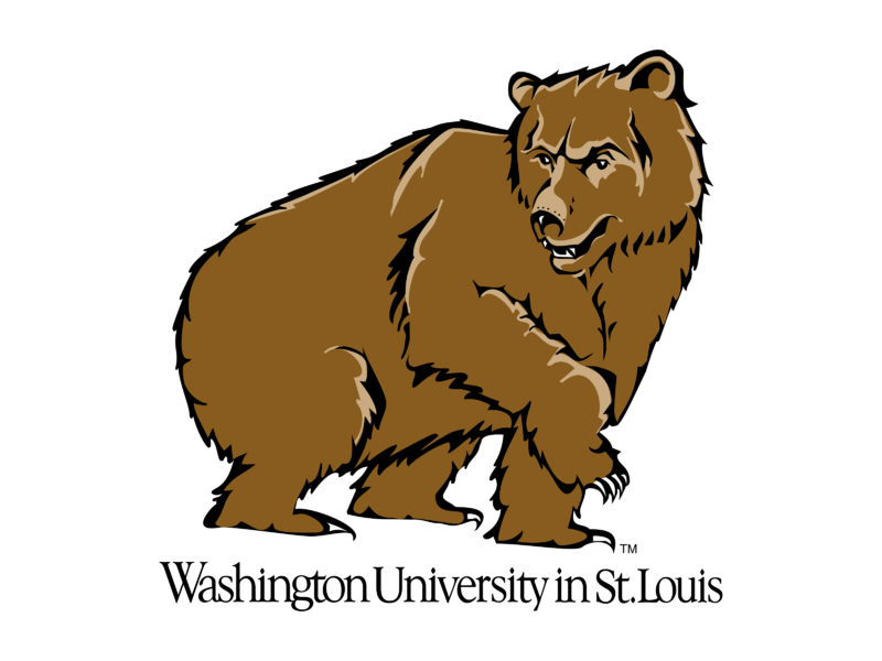 Bear Logo PNG Picture