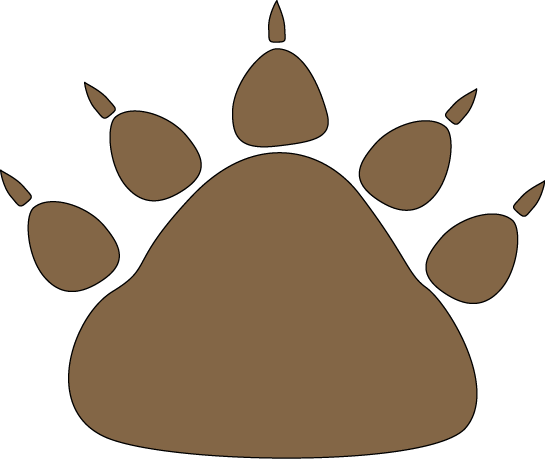 Bear Paw PNG HD