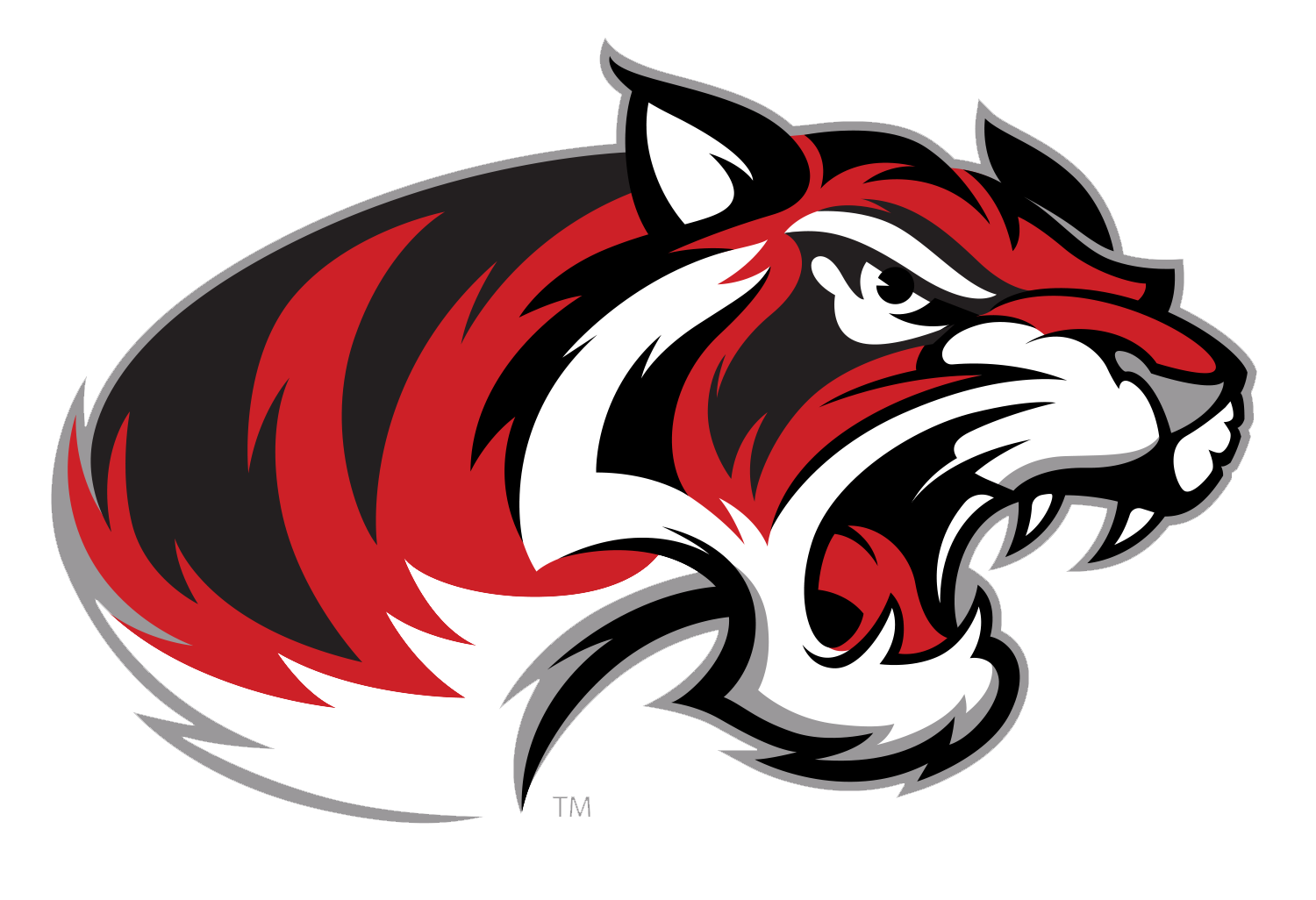 Bengals Logo PNG Isolated HD