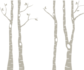 Birch Tree PNG HD Isolated