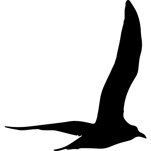 Bird Flying PNG Clipart