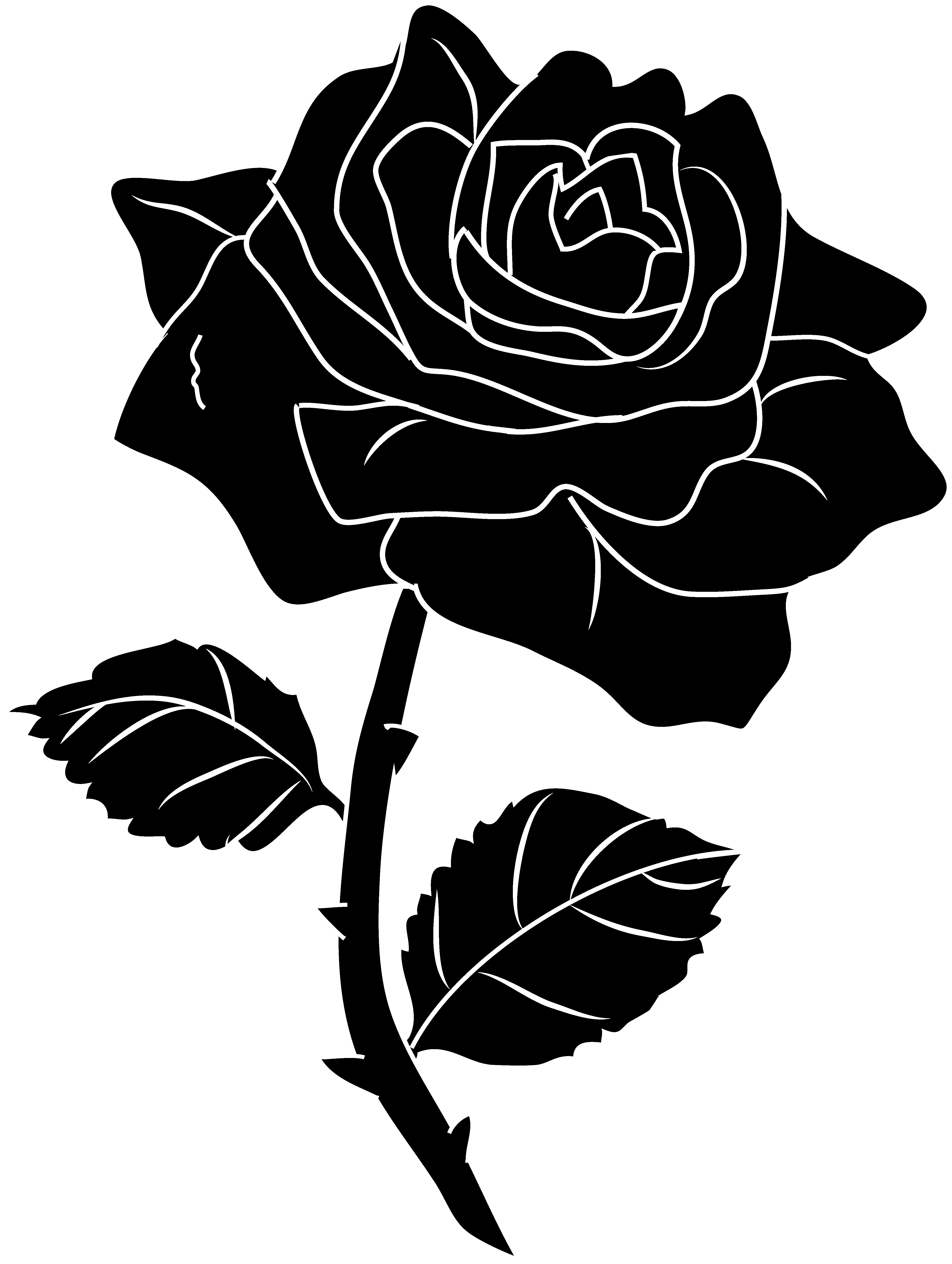 Black And White Roses PNG Clipart