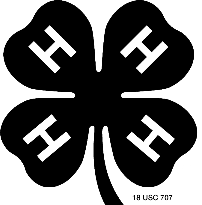 Black Clover Logo PNG