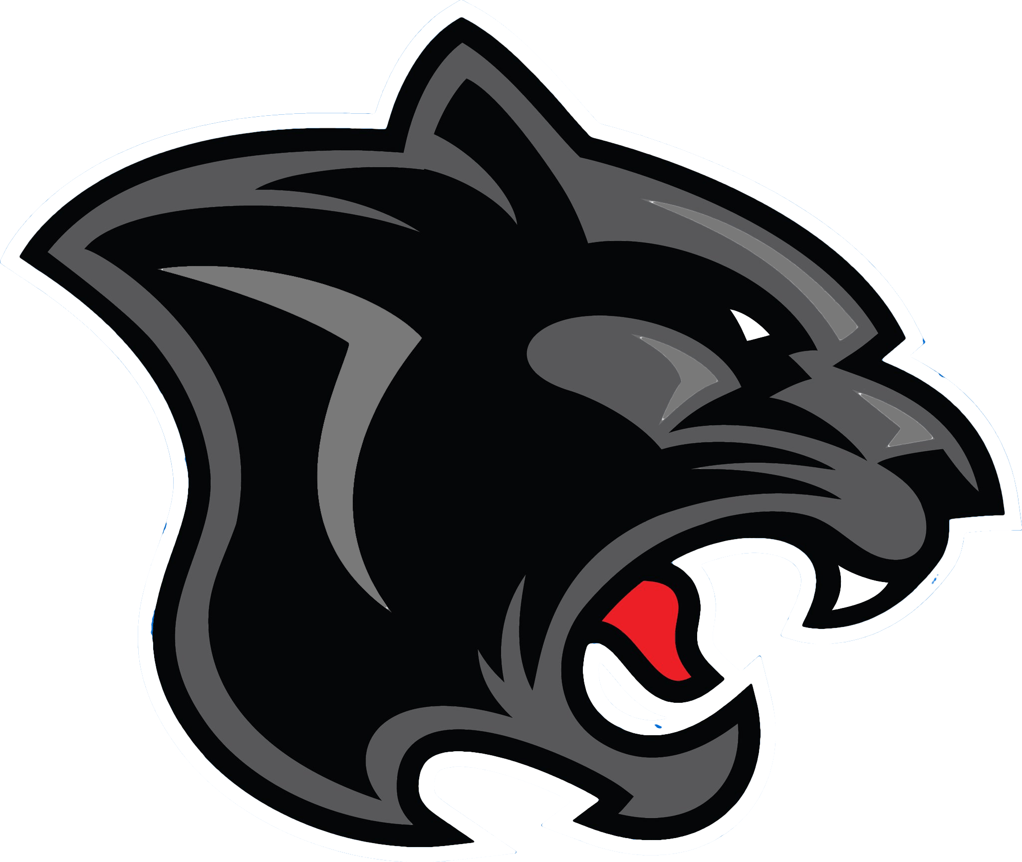 Black Panther Logo PNG Image