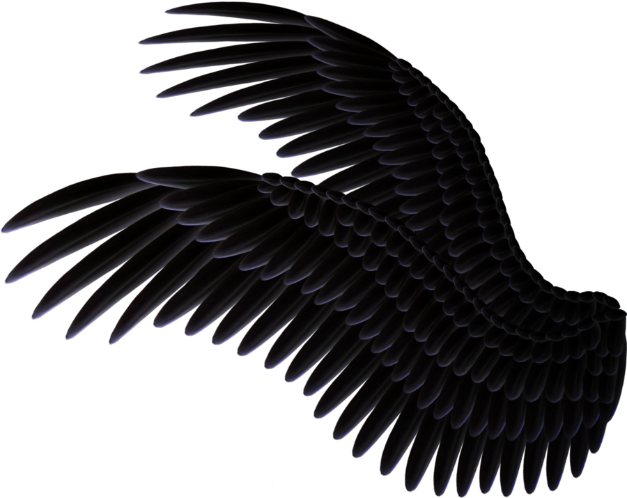 Black Wing PNG Isolated HD