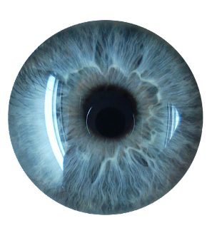 Blue Eye PNG Isolated HD