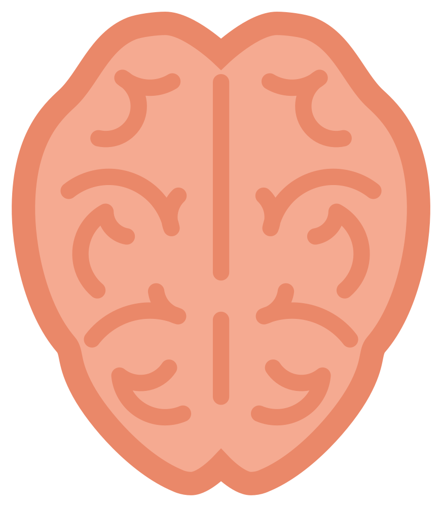 Brain Cartoon PNG Picture
