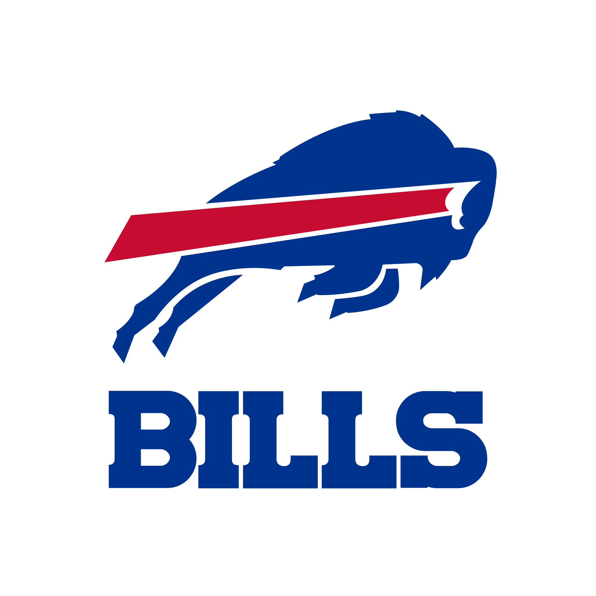 Buffalo Bills Logo PNG HD
