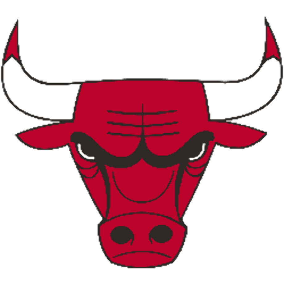 Bulls Logo PNG Image