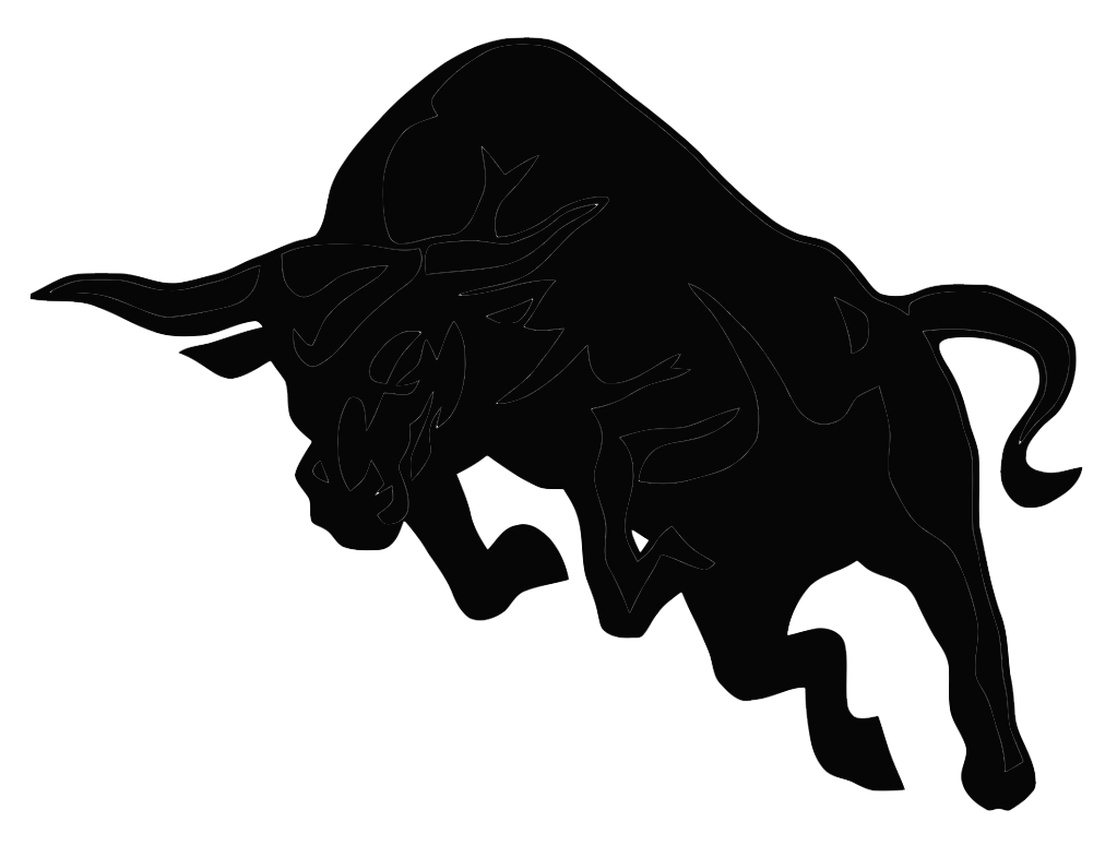 Bulls Logo PNG Photo