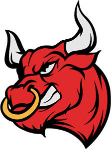 Bulls Logo PNG Photos