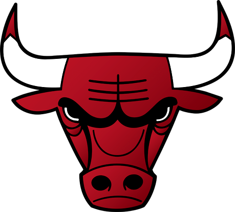 Bulls Logo PNG